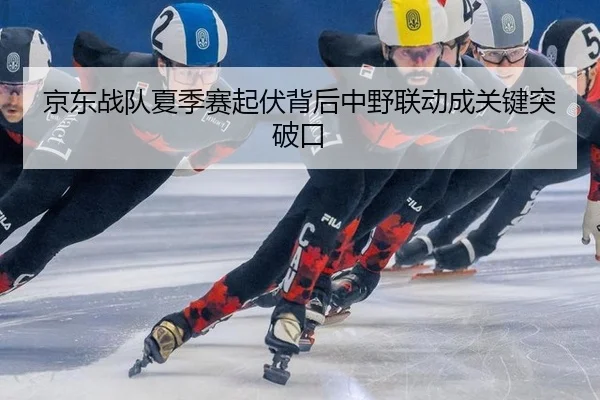 京东战队夏季赛起伏背后中野联动成关键突破口